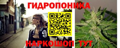 гидра Тверь