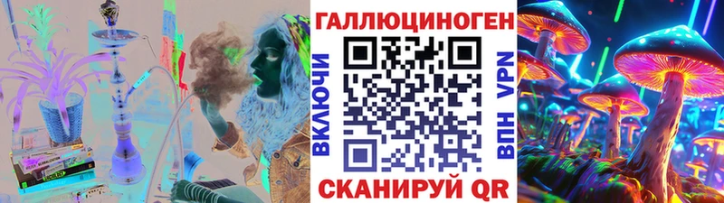 как найти   Новомосковск  мориарти Telegram  Псилоцибиновые грибы GOLDEN TEACHER 
